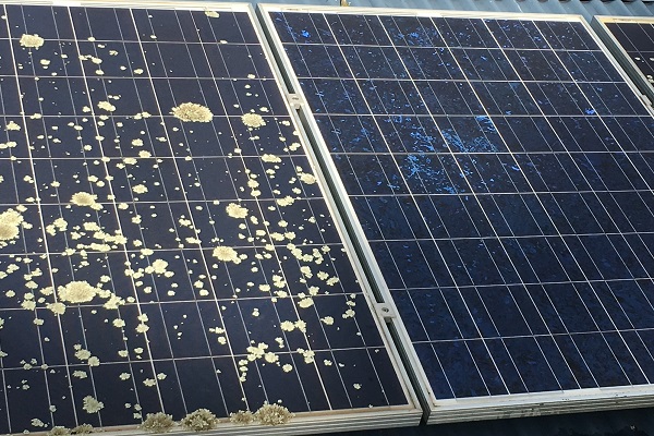 Rooftop Solar panel cleaning geelong