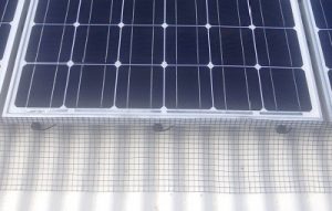 Solar Panel Bird Proofing Mesh Point Lonsdale