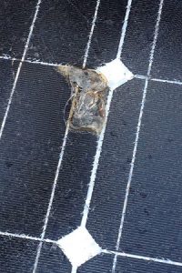 Damaged Solar Panel Point Lonsdale